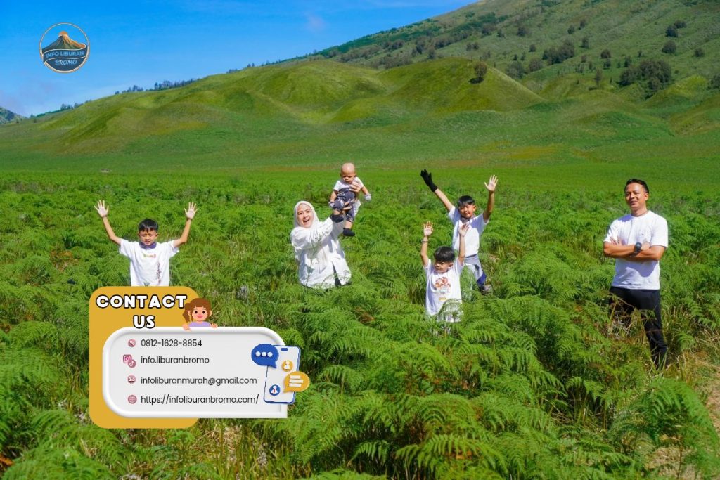 trip bromo dari surabaya