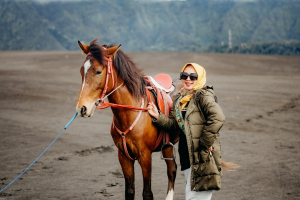 Sewa Kuda di Bromo