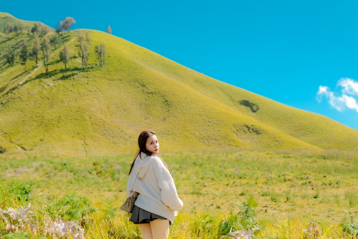 Savana Bromo 2026 Savana Bromo 2026