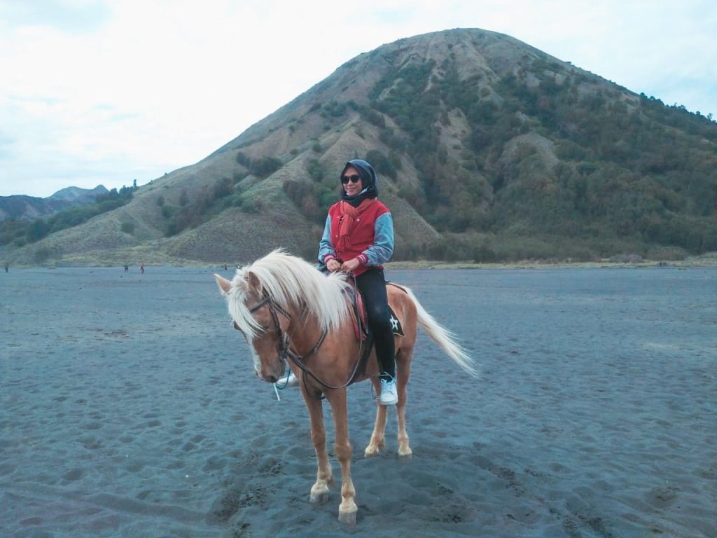 joki kuda bromo menawarkan jasa